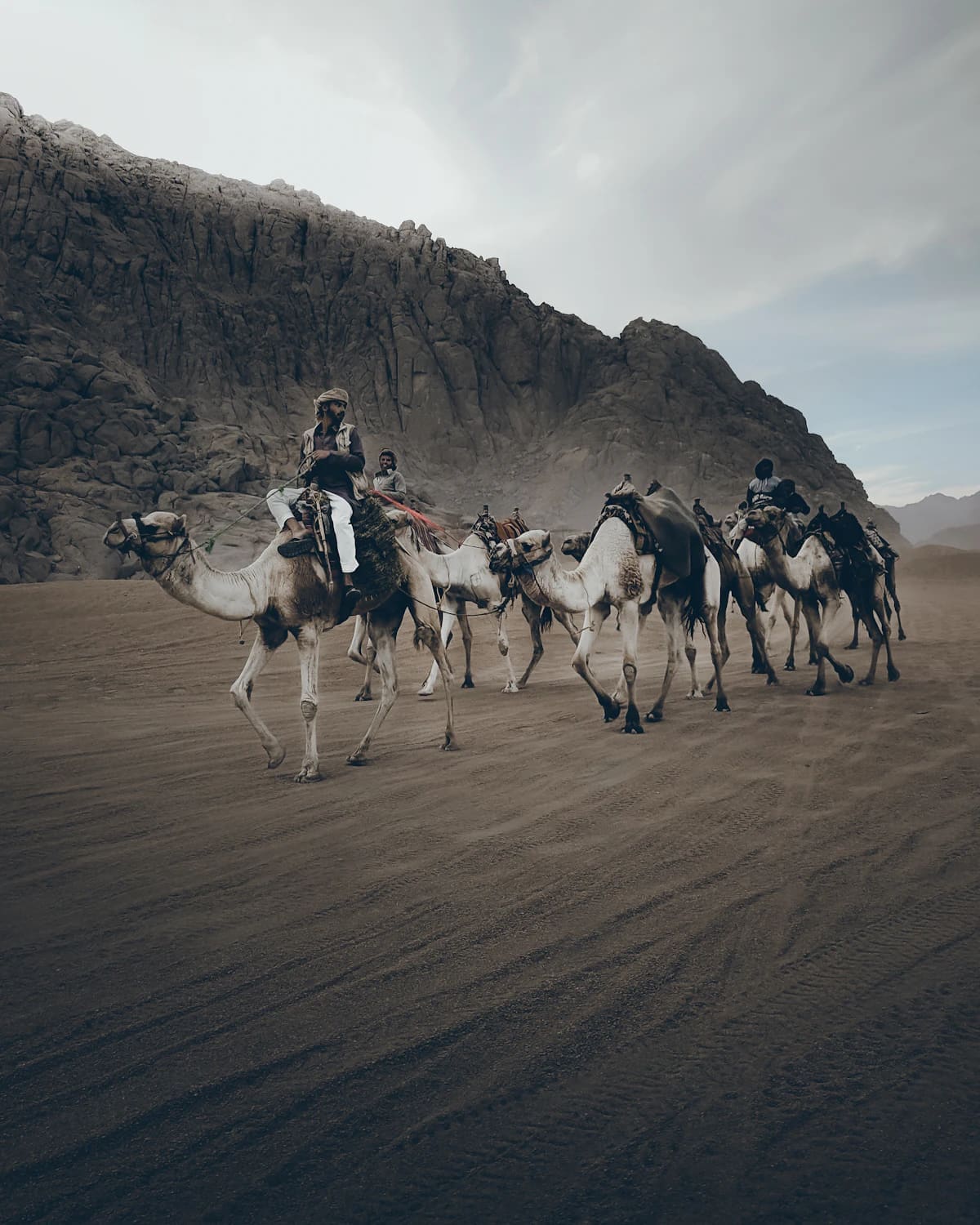 Bedouin camel ride Sinai desert Sharm El Sheikh