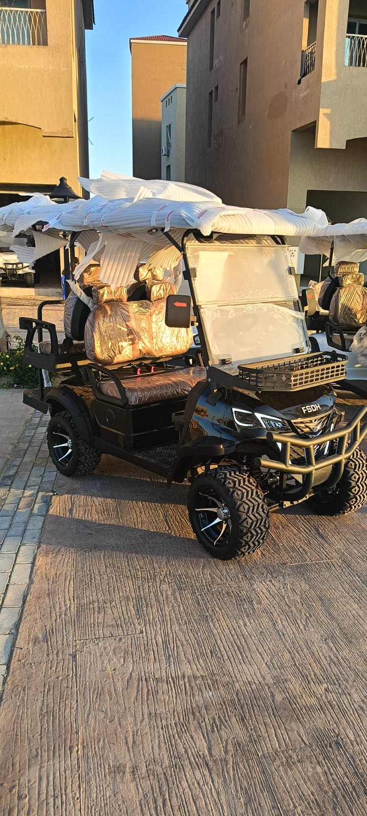 Golf Cart — photo 8
