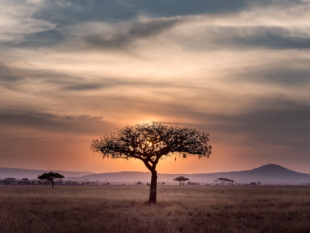 Kenya Safari Package