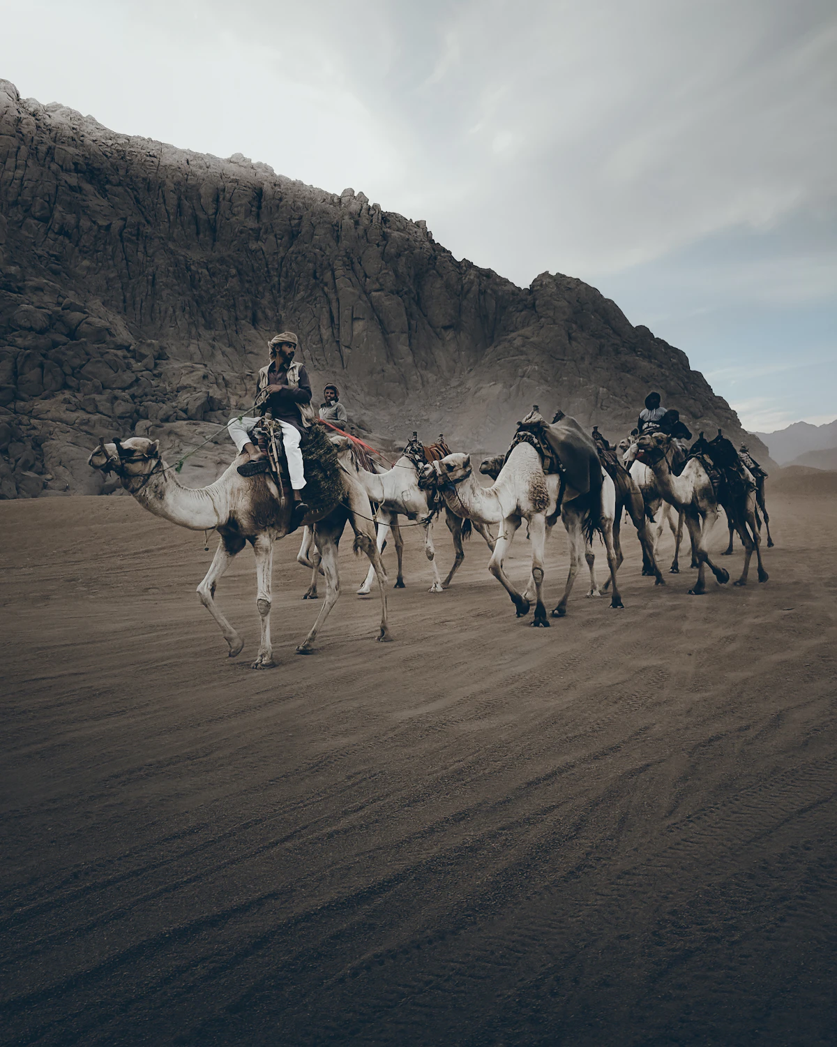 Bedouin camel ride Sinai desert experience Sharm El Sheikh